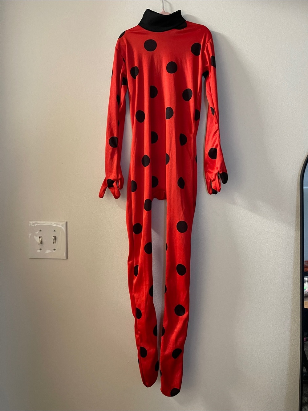 Ladybug Costume
